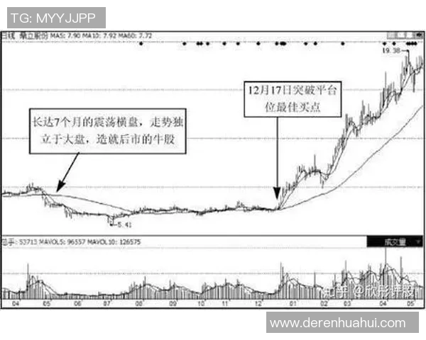 菜红牛与红竞的精彩对决分析与市场前景展望