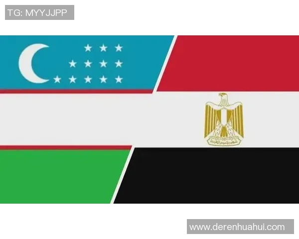 印度尼西亚与香港的精彩对决分析及赛事前瞻探讨